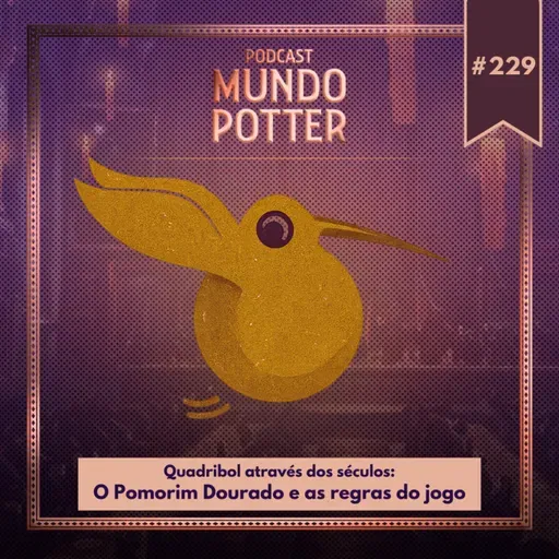 Mundo Potter #229 - Quadribol através dos séculos: O Pomorim Dourado e as regras do jogo