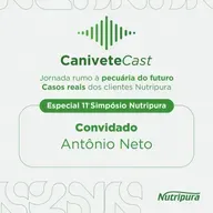 ANTÔNIO NETO: SEM TEMPO PARA LAMENTAÇÃO