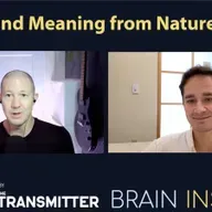 BI 222 Nikolay Kukushkin: Minds and Meaning from Nature’s Ideas