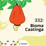 Bioma Caatinga – Dragões de Garagem #332