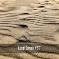 Kemmi Kamachi # 517