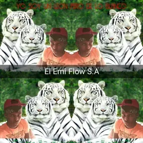 Music Record Emi Flow S-A3000