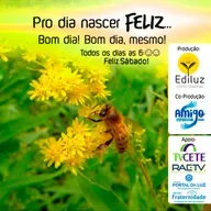 Pro dia nascer Feliz... Bom dia! Bom dia, mesmo! #330