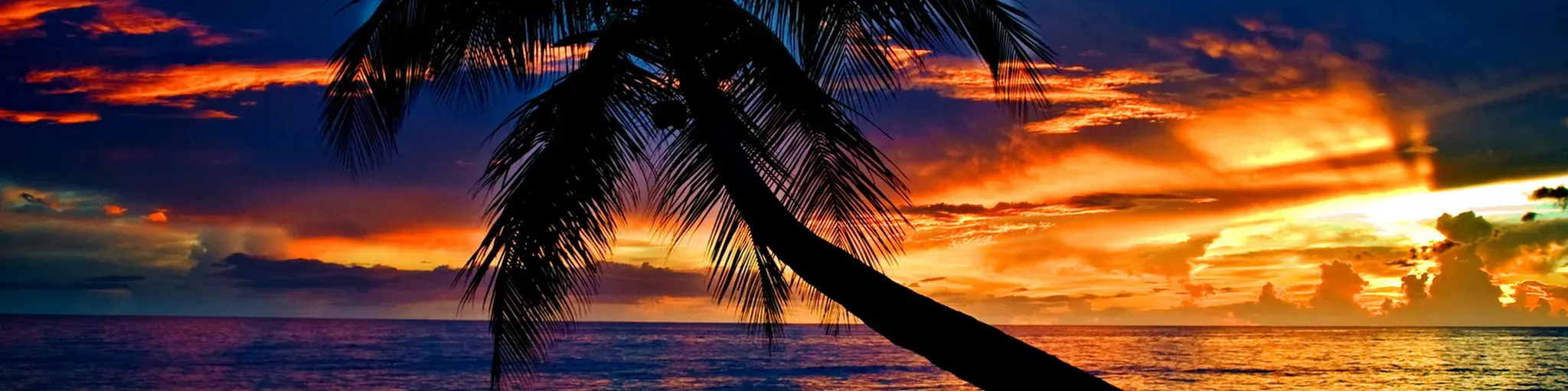 tropical beat