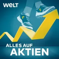 BYD, Tesla oder die Deutschen? Der IAA-Insider kennt die Sieger