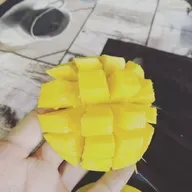 107 - cortar manga, sinceridade na aula e demais confabulacoes