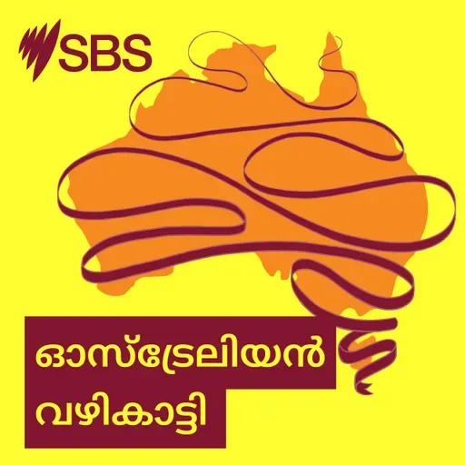 A guide to fuel types in Australia | Fuel in Focus - നിങ്ങളുടെ കാറിന് 98 വേണോ അതോ വില കുറഞ്ഞ E10 മതിയോ? പെട്രോൾ അടിക്കുമ്പോൾ അറിയേണ്ടതെല്ലാം