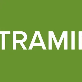LFSTRAMING2