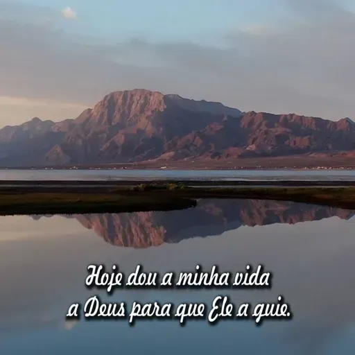 Reflexão 084 - Hoje dou a minha vida a Deus para que Ele a guie.