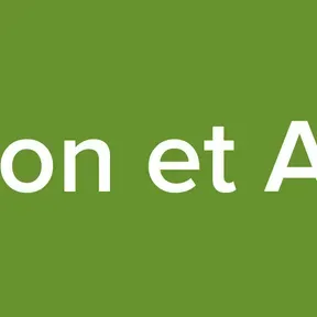 Reflexion et Analyse