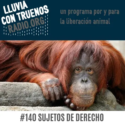 #140 Sujetos de derecho