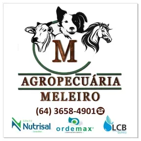 Rádio Agropecuária Meleiro