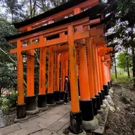 Los monumentos históricos de la antigua KIOTO (ciudades de Kioto, Uji y Otsu) UNESCO desde 1994