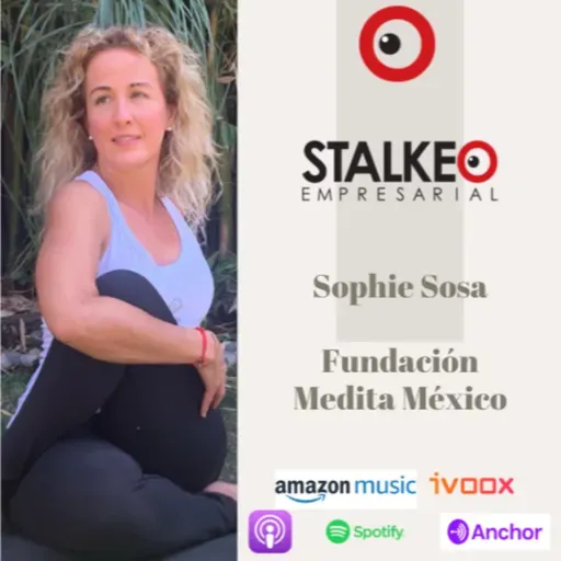 La Entrevista 30 Sophie Sosa, Fundación Medita México