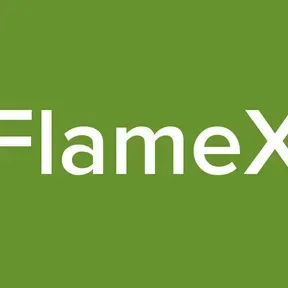 FlameX