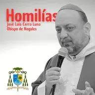 XXIX domingo del Tiempo Ordinario