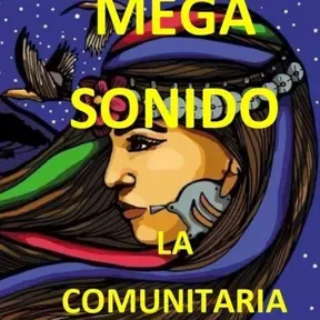 LA COMUNITARIA PURA VIDA