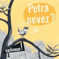 Lizher-kelaouiñ : Sant-Maloù : ur pal da dizhout evit an tu-dehoù pellañ ? #26