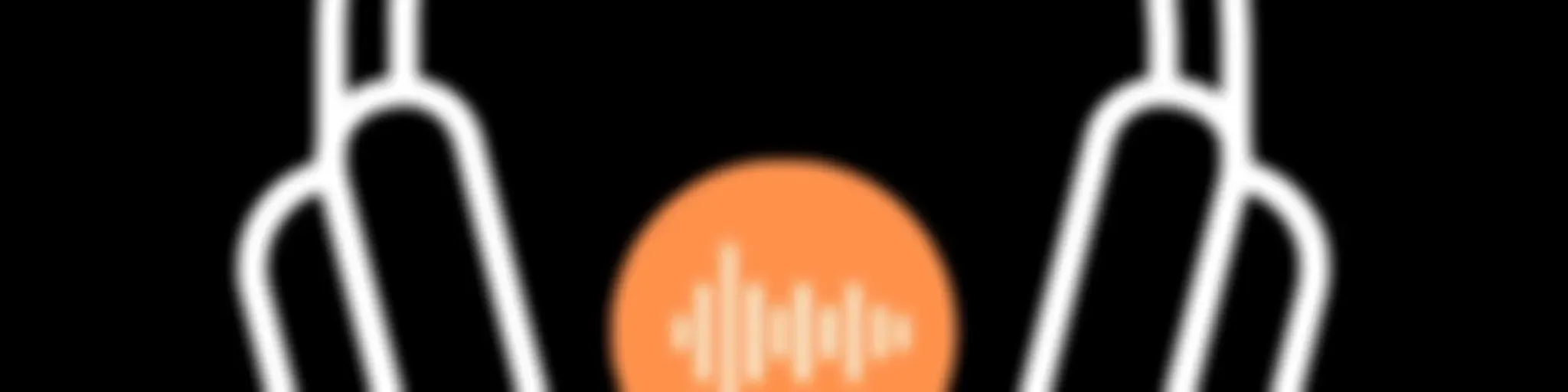 THE VOICE OF THOKOZANI NDINISA (iZWI LAM)