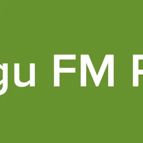 Telegu FM Radio