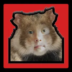 HamsterNetwork 2