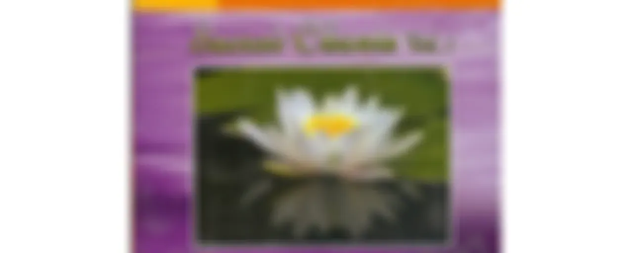 Sacred Chants 7