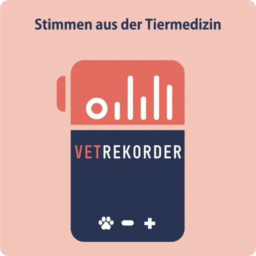 VET REKORDER - Teaser