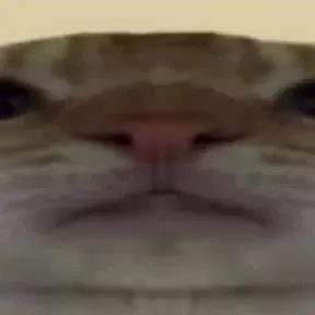 Yoshoargg