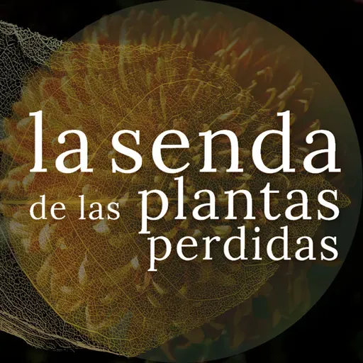 Historia de dos flores de muerto: Tagetes erecta y Chrysanthemum sp. {SPP 083}