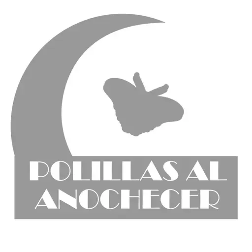 Polillas al Anochecer, 2021-10-06