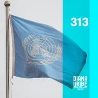 Historia de la ONU