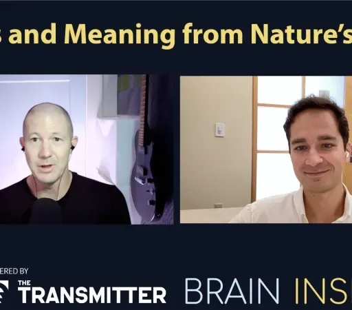 BI 222 Nikolay Kukushkin: Minds and Meaning from Nature’s Ideas