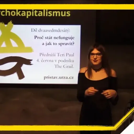 Anarchokapitalismus: Proč stát nefunguje a jak to spravit?