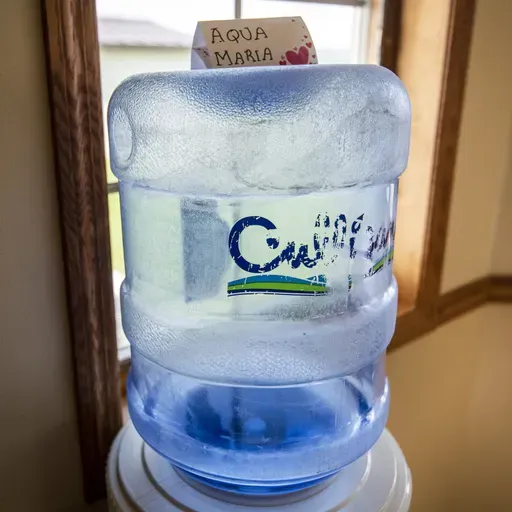 Pontiff and politics, Lessons from Maine on PFAS, Future of Ashland’s environmental institute