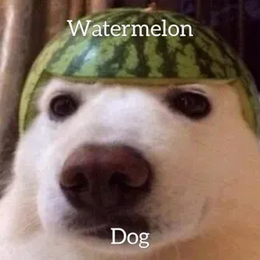 weebss
