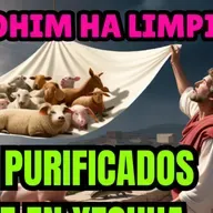 Explorando el significado profundo de Shemini en la parashá semanal