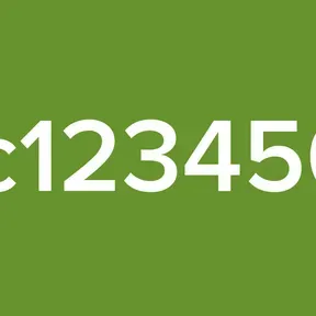 Msc12345678