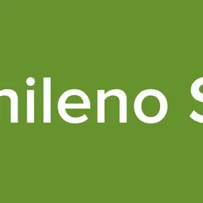 Rap Chileno Station