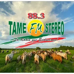 Tame FM Stereo 88.3