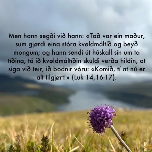 Hin stóri veitsludagurin