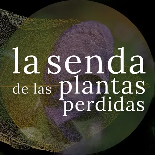 La flecha más letal enraíza en la montaña: Aconitum sp. {SPP 082}