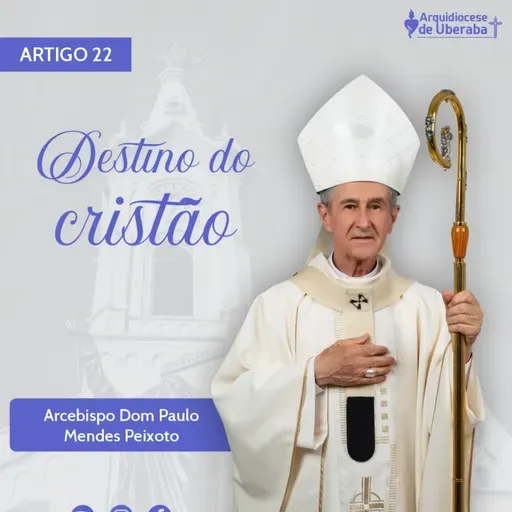 Artigo Dom Paulo #22 - Destino do cristão