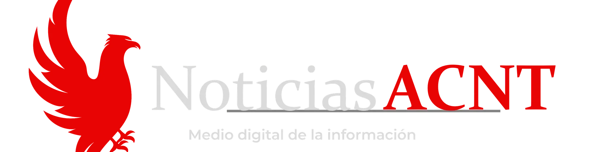 Noticias ACNT