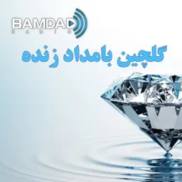 گل‌چین بامداد زنده