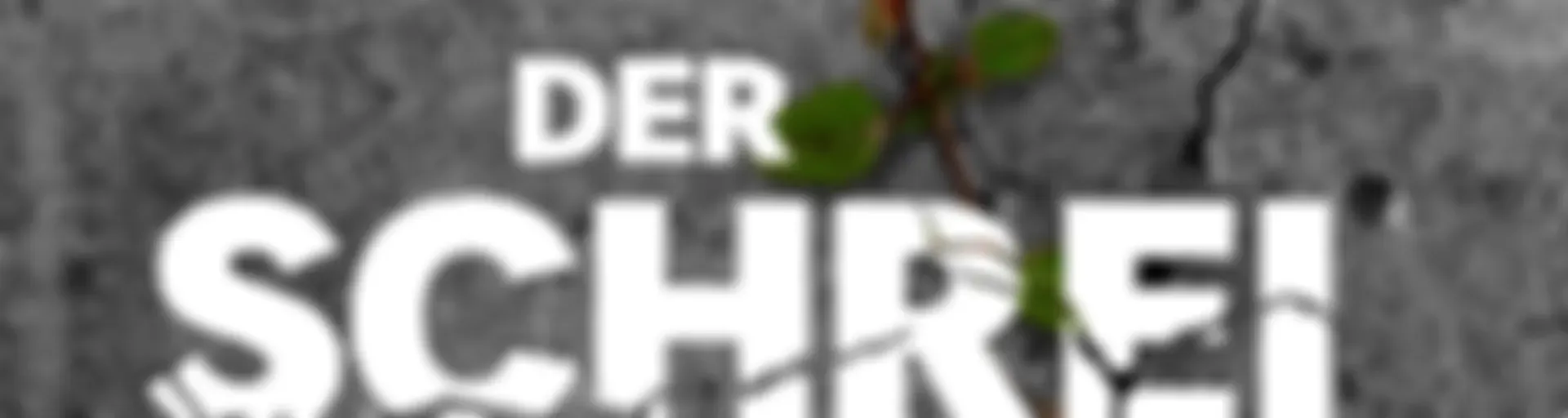 Der Schrei – Der rätselhafte Fall Rafael Blumenstock