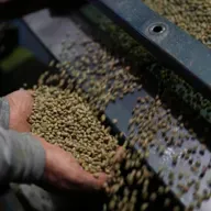 Developing PFAS regulations, Ongoing confusion over tariffs, Helping seniors write about their lives