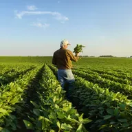 Trump’s Trade War Is Stressing Red State Farmers