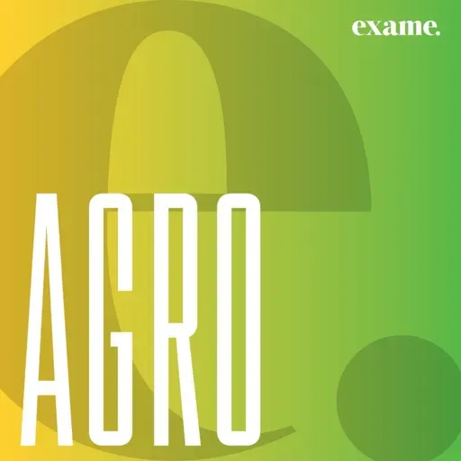 O impacto das mudanças climáticas no agronegócio
