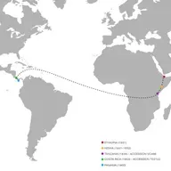 106 透过商业本质看巴拿马瑰夏，欢迎来到真实世界！