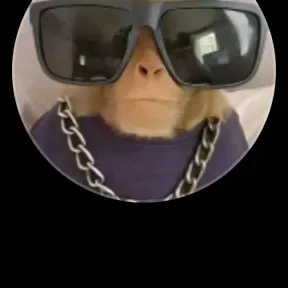 Zbmdaa